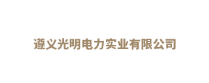 遵義光明電力實業有限公司